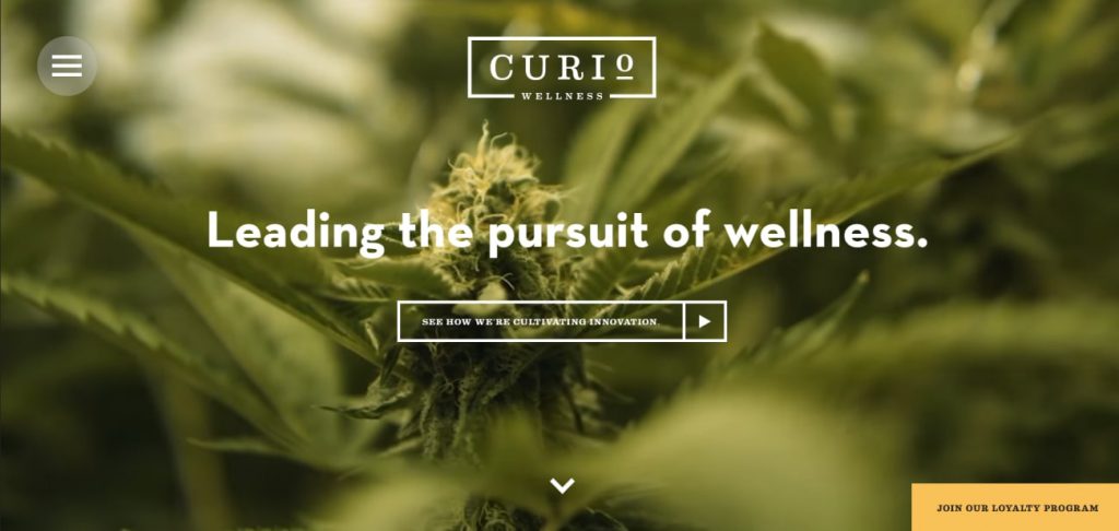 Contoh homepage hero penuh Curio Wellness
